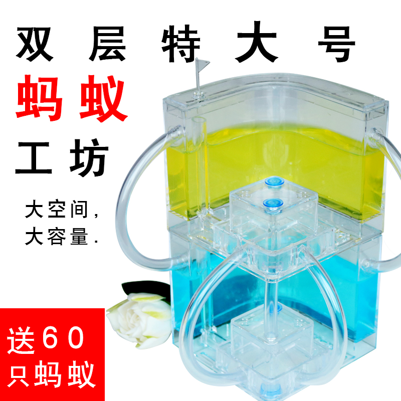 双层蚂蚁工坊 蚂蚁别墅 蚁后窝家园城堡农场送蚂蚁观察蚂蚁挖洞巢|msdalam kategori haiwan peliharaan/makanan haiwan dan bekalan, Reptilia/Serangga dan bekalan Ming, semut Mania - dari Buy2taobao.com untuk memberikan perkhidmatan ejen Taobao profesional membeli