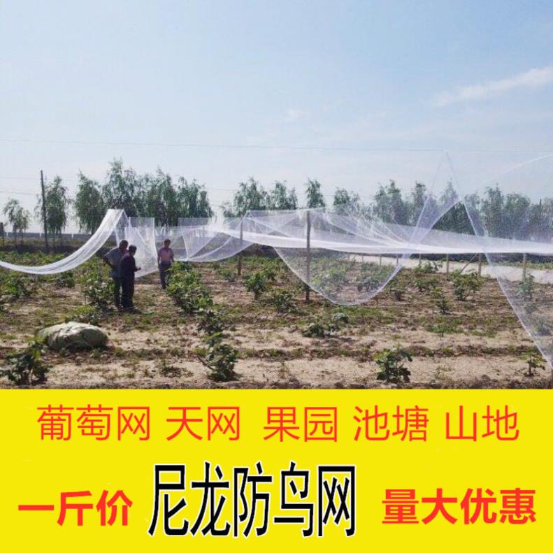 隔离网20米大棚果园防雹网防冰雹杨梅苹果树防乌网农田葡萄园鱼塘|ruв категории доставка цветов/цветок моделирования/растения садоводства, садовых принадлежностей, других садовых принадлежностей - от Buy2taobao.com для оказания профессиональной услуги покупки агента Taobao