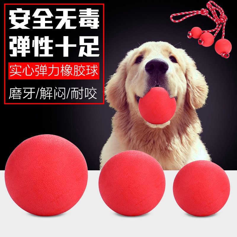 宠物泰迪弹力拉多具咬磨牙狗狗玩小狗玩具球球耐网球幼犬拉布金毛在类目 宠物/宠物食品及用品, 猫/狗玩具, 橡胶球/球形玩具中 - 来自Buy2taobao.com提供专业的淘宝代购服务