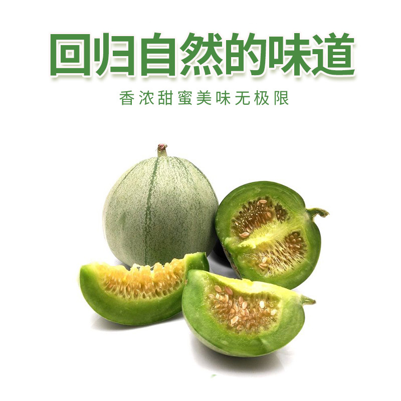 新鮮甜瓜 綠寶甜瓜 薄皮香瓜 脆甜多汁 齁甜甜瓜 500g在類目 水產肉類/新鮮蔬果/熟食, 新鮮水果, 其它中 - 來自Buy2taobao.com提供專業的淘寶代購服務