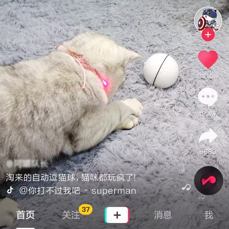 貓咪最愛款抖音同款智能LED閃光滾動球激光電動貓玩具球貓咪用品在類目 寵物/寵物食品及用品, 貓/狗玩具, 橡膠球/球形玩具中 - 來自Buy2taobao.com提供專業的淘寶代購服務