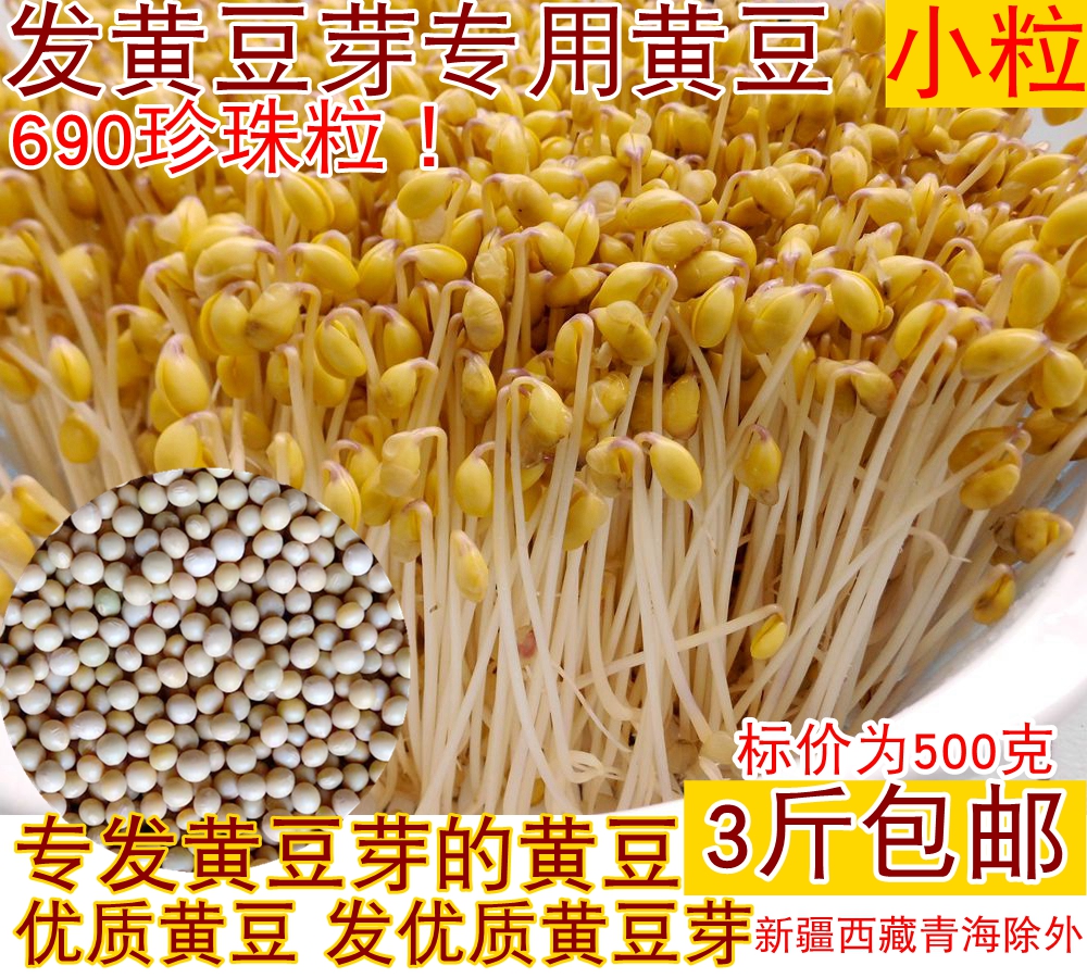 发豆芽黄豆生黄豆芽豆专用黄豆种小金黄芽率高芽苗菜满三斤包邮|ruв категории зерно риса/север и Юг сухих грузов/приправы, метров/муки/зерновые, фасоль, соя - от Buy2taobao.com для оказания профессиональной услуги покупки агента Taobao