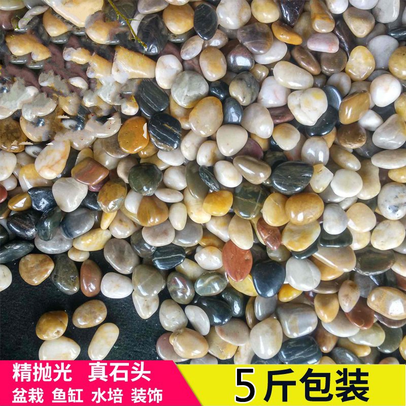 2018 5斤雨花石鹅卵石鱼缸乌龟专用品铺面石头小石子石园艺装饰用在类目 鲜花速递/花卉仿真/绿植园艺, 园艺用品, 其它园艺用品中 - 来自Buy2taobao.com提供专业的淘宝代购服务