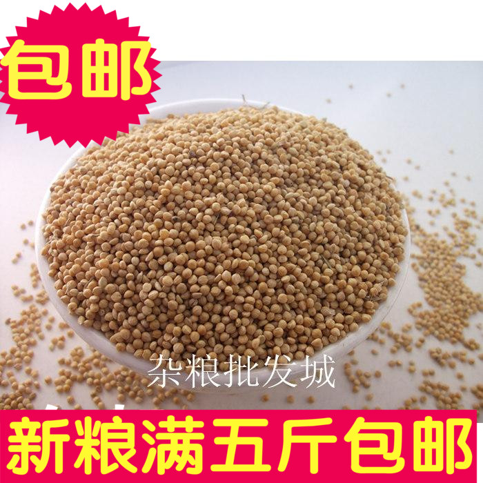 黄谷子带壳小米 粟谷虎皮牡丹玄凤文鸟鸟食鸟粮鸟饲料满5斤包邮|msdalam kategori haiwan peliharaan/makanan haiwan dan bekalan, Burung dan bekalan, makanan burung - dari Buy2taobao.com untuk memberikan perkhidmatan ejen Taobao profesional membeli