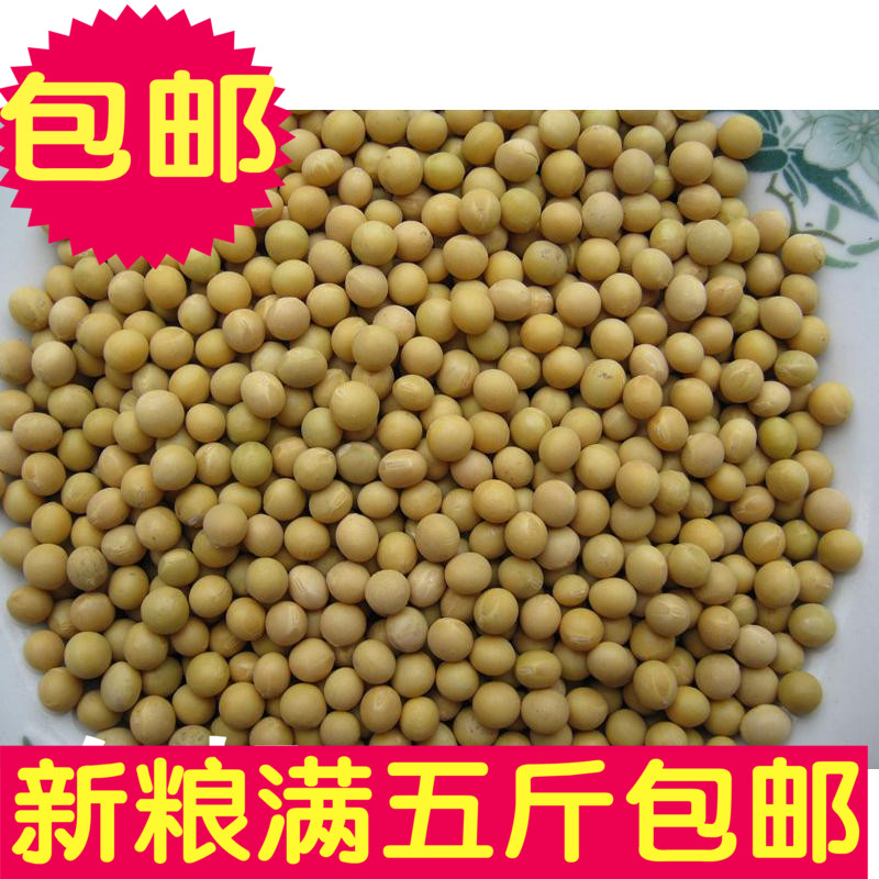 东北 黄豆 大豆 圆粒豆 拍一件等于一斤 满5斤包邮|msdalam kategori beras/Utara-Selatan barangan kering/perasa, meter/tepung/bijirin, Beans, kacang soya - dari Buy2taobao.com untuk memberikan perkhidmatan ejen Taobao profesional membeli