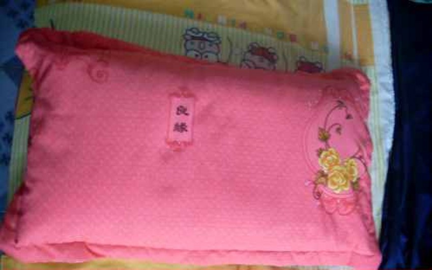新品纯野生侧柏壳侧柏叶少白头脱发白发变黑发枕头 仲景皓天在类目 床上用品, 枕头/枕芯/保健枕/颈椎枕中 - 来自Buy2taobao.com提供专业的淘宝代购服务