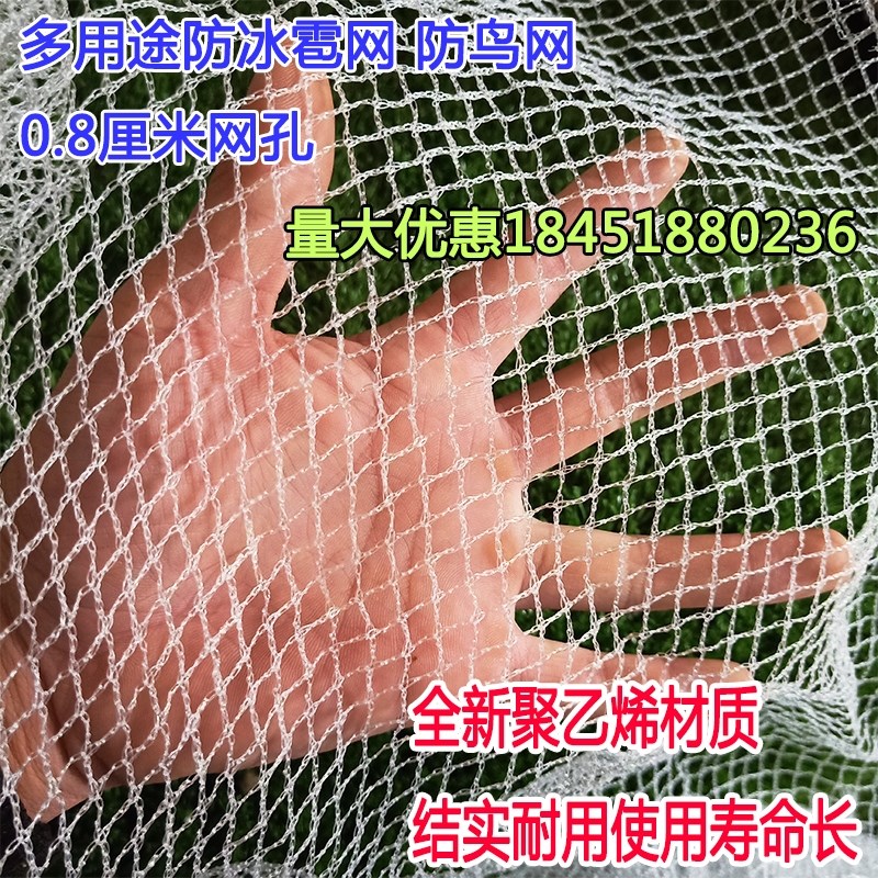鹅苗 鸡 鸭 网挡鸡网泥龙网 尼龙网鸡网尼龙网 野外养鸡围朔料网|ruв категории доставка цветов/цветок моделирования/растения садоводства, садовых принадлежностей, других садовых принадлежностей - от Buy2taobao.com для оказания профессиональной услуги покупки агента Taobao