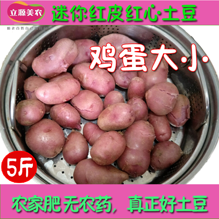 现挖现发2019红皮红心土豆新鲜迷你小马铃薯食用洋芋种植种子5斤在类目 水产肉类/新鲜蔬果/熟食, 新鲜蔬菜/蔬菜制品, 新鲜蔬菜, 土豆中 - 来自Buy2taobao.com提供专业的淘宝代购服务