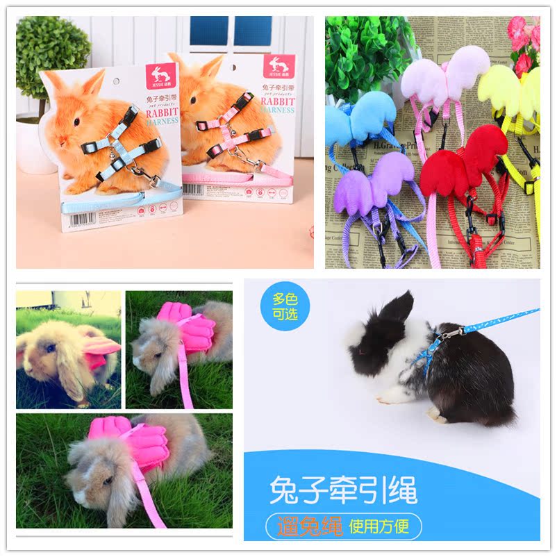 Rabbit Leash Rabbit Angel rope Rabbit rope slip Rabbit string wings Leashesin the Pet/Pet food and supplies , Rabbits and supplies , Rabbit rope category - from Buy2taobao.com to provide professional Taobao agent buy service