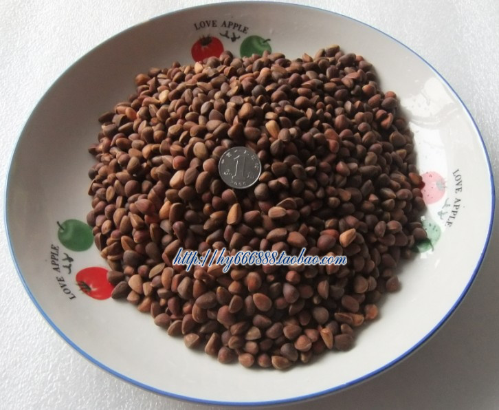 undefined2 Northeast Large Xingan range Original flavor Mason pine 250g Cook Cedar Cook wild Komatsuundefinedin the Snacks/Nuts/Specialty , Hickory/Nuts/Roasting , Pine nuts category - from Buy2taobao.com to provide professional Taobao agent buy service