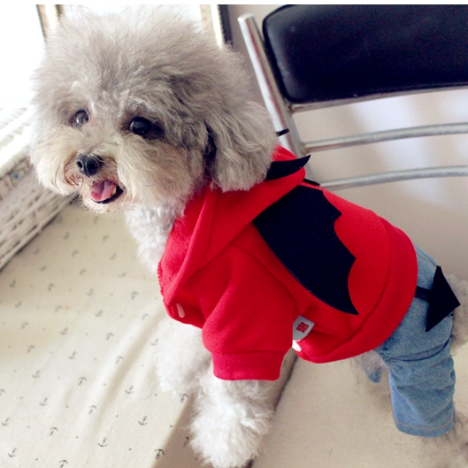 小型犬宠物贵宾犬比熊泰迪狗狗衣服秋装秋冬装四脚衣卫衣春装在类目 宠物/宠物食品及用品, 宠物服饰及配件, 宠物服装/雨衣中 - 来自Buy2taobao.com提供专业的淘宝代购服务