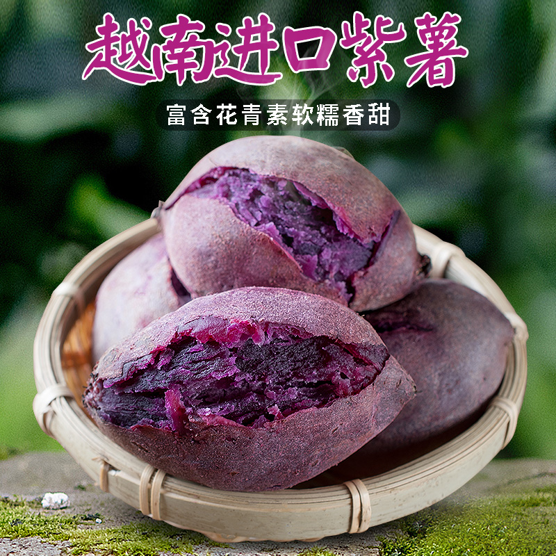 當季板栗越南小紫薯蜜薯迷妳番薯新鮮現挖地瓜紅薯香薯5斤紫芋頭在類目 水產肉類/新鮮蔬果/熟食, 新鮮蔬菜/蔬菜製品, 新鮮蔬菜, 番薯中 - 來自Buy2taobao.com提供專業的淘寶代購服務