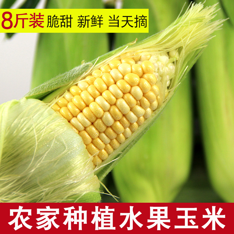 云南新鲜玉米水果玉米甜玉米鲜玉米棒8斤装爆浆玉米粒甜脆可生吃在类目 水产肉类/新鲜蔬果/熟食, 新鲜蔬菜/蔬菜制品, 新鲜蔬菜, 新鲜玉米中 - 来自Buy2taobao.com提供专业的淘宝代购服务
