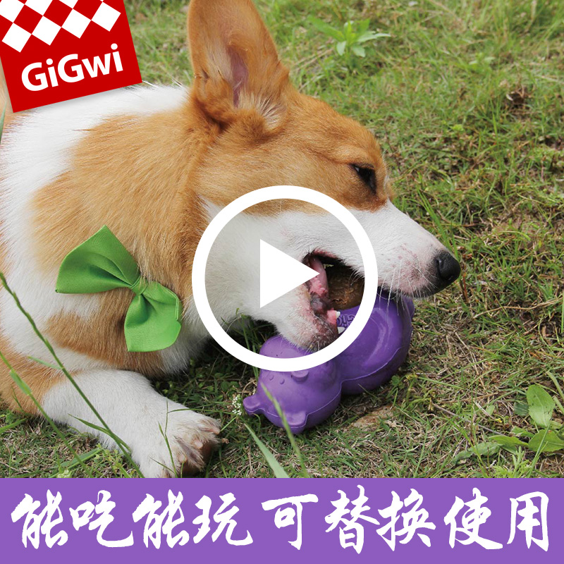 GiGwi貴爲狗狗耐咬漏食球磨牙餅寵物泰迪磨牙潔齒益智玩具磨牙棒在類目 寵物/寵物食品及用品, 貓/狗玩具, 漏食球中 - 來自Buy2taobao.com提供專業的淘寶代購服務