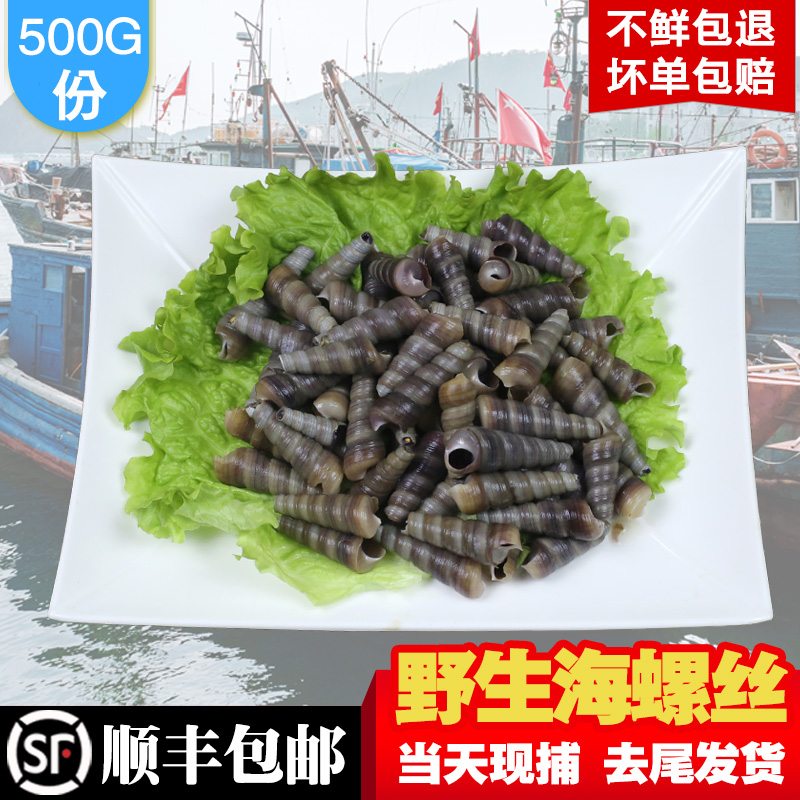 麻辣小海鲜海螺水产钉螺鲜活野生去尾海螺丝海瓜子鲜活满5斤包邮在类目 水产肉类/新鲜蔬果/熟食, 海鲜/水产品/制品, 贝类, 贝类制品中 - 来自Buy2taobao.com提供专业的淘宝代购服务