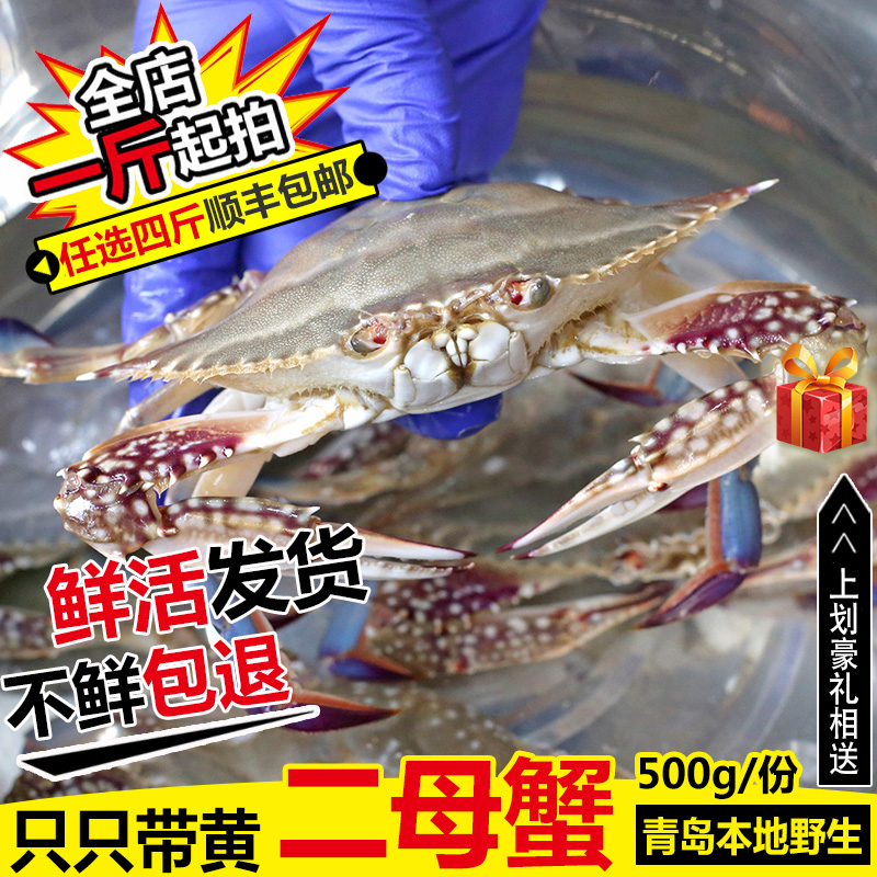 鲜活梭子蟹鲜活梭子蟹鲜活海鲜青岛梭子蟹海蟹鲜活免邮二母梭子蟹在类目 水产肉类/新鲜蔬果/熟食, 海鲜/水产品/制品, 蟹类, 蟹类制品中 - 来自Buy2taobao.com提供专业的淘宝代购服务