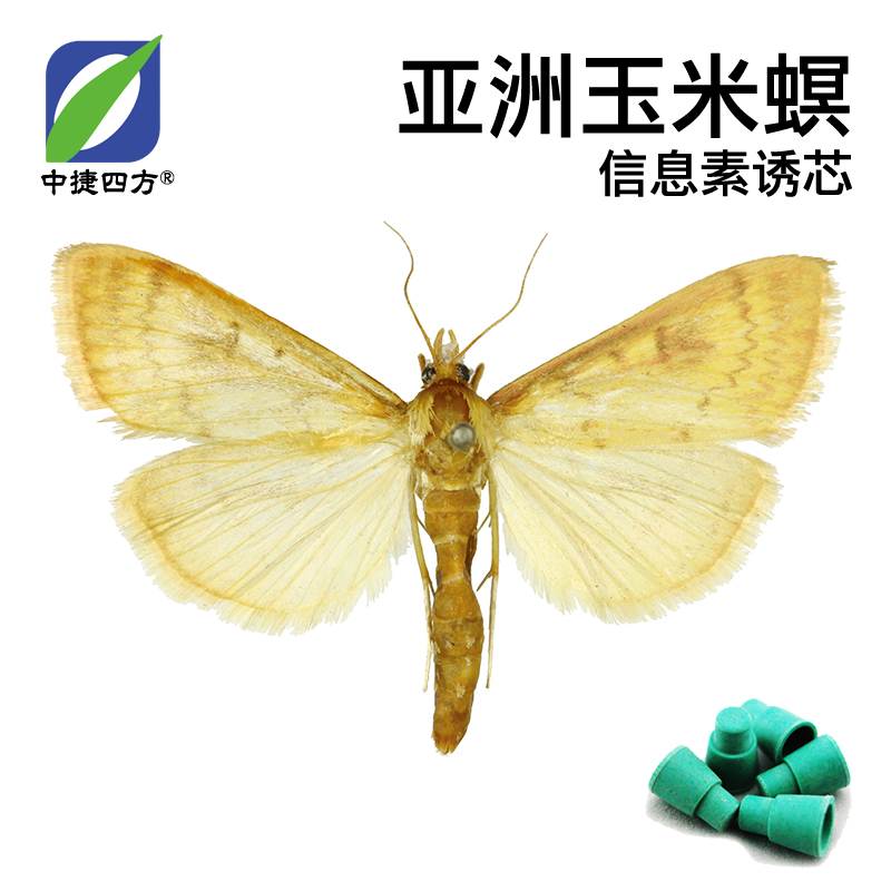 中捷四方亚洲玉米螟性信息素诱芯引诱剂农用杀虫玉米害虫监测诱杀|ruв категории доставка цветов/цветок моделирования/растения садоводства, садовых принадлежностей, других садовых принадлежностей - от Buy2taobao.com для оказания профессиональной услуги покупки агента Taobao
