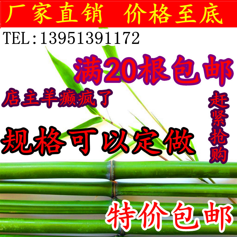 竹竿 青竹竿 黄竹竿 专业的装修用竹 旗杆专用 菜架竹竿|ruв категории доставка цветов/цветок моделирования/растения садоводства, садовых принадлежностей, большой забор/забор - от Buy2taobao.com для оказания профессиональной услуги покупки агента Taobao