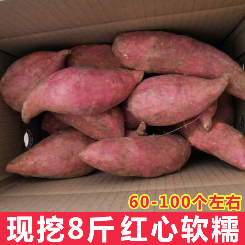 60-100个左右现挖8斤番薯红薯新鲜农家自种红心香薯地瓜香甜软糯在类目 水产肉类/新鲜蔬果/熟食, 新鲜蔬菜/蔬菜制品, 新鲜蔬菜, 番薯中 - 来自Buy2taobao.com提供专业的淘宝代购服务