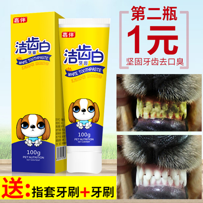 狗狗牙膏狗牙刷套装猫咪清洁宠物用品口腔除牙结石口臭犬猫刷牙用