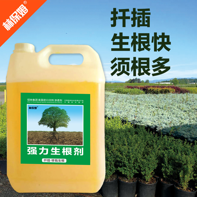 强力生根剂液体肥生根粉植物壮苗生根扦插果树树木园林苗圃生根快在类目 鲜花速递/花卉仿真/绿植园艺, 园艺用品, 家庭园艺肥料/营养土/营养液中 - 来自Buy2taobao.com提供专业的淘宝代购服务