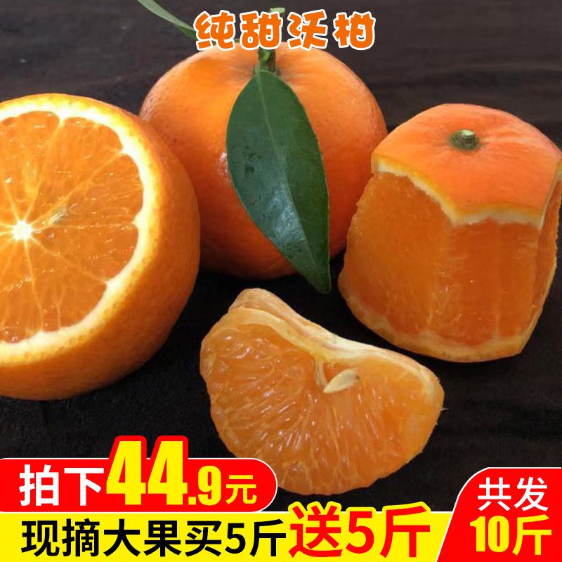 正宗沃柑大果 一级10斤新鲜橘子水果非四川丑橘广西武鸣茂谷柑在类目 水产肉类/新鲜蔬果/熟食, 新鲜水果, 桔子中 - 来自Buy2taobao.com提供专业的淘宝代购服务
