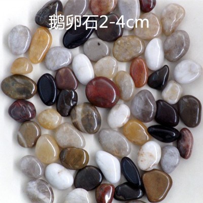 天然鹅卵石雨花石五彩石子白色石子鱼缸彩石花盆水培装饰品陶粒彩|ruв категории доставка цветов/цветок моделирования/растения садоводства, садовых принадлежностей, других садовых принадлежностей - от Buy2taobao.com для оказания профессиональной услуги покупки агента Taobao