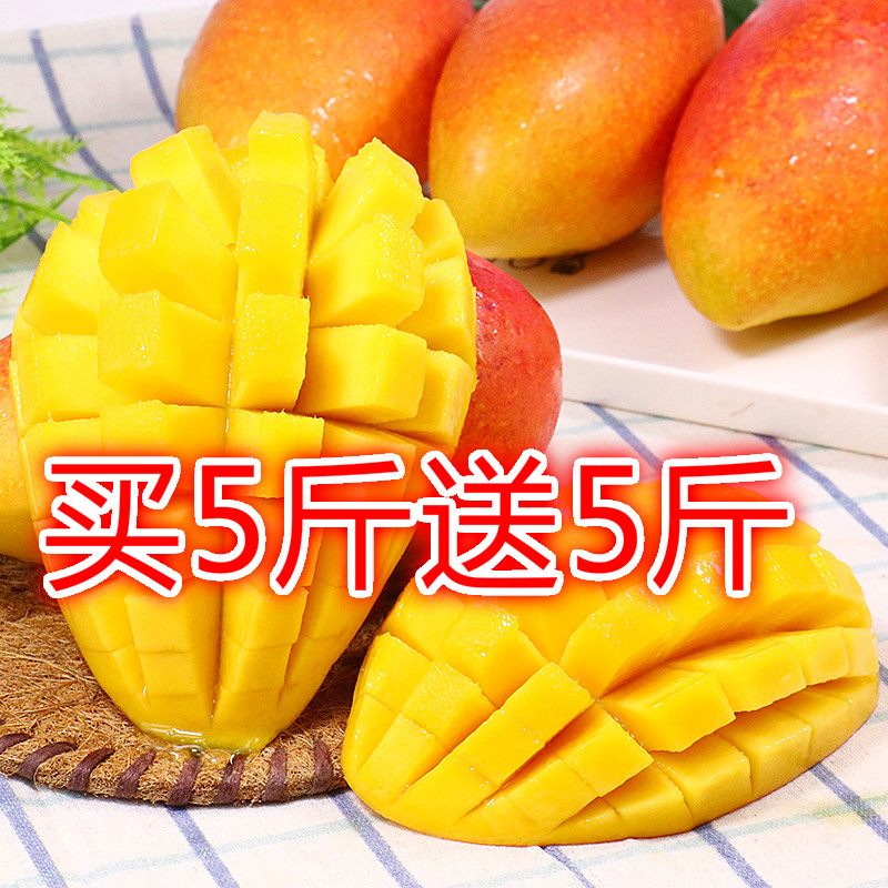 海南三亚贵妃芒中大果10斤整箱 新鲜当季水果热带红金龙芒果包邮|msdalam kategori daging perikanan/Buah-buahan segar dan sayur-sayuran/dimasak, buah-buahan segar, Mango - dari Buy2taobao.com untuk memberikan perkhidmatan ejen Taobao profesional membeli