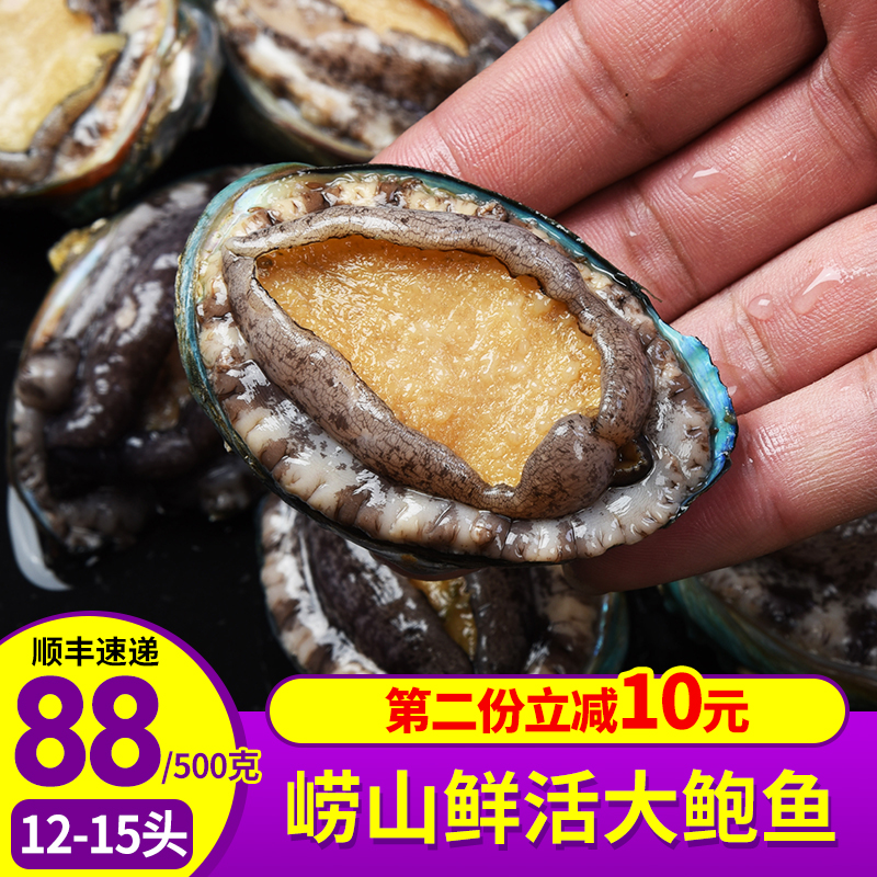 青岛崂山鲜活小鲍鱼新鲜野生鲍鱼活鲍鱼 贝类海鲜水产深海500克|ruв категории водной мясо/свежие фрукты и овощи/еда, морепродукты/водные продукты/изделия, моллюски, абалон - от Buy2taobao.com для оказания профессиональной услуги покупки агента Taobao