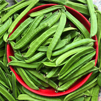 新鲜刀豆刀把豆大刀豆大豌豆青刀豆现摘现发做酸原料3斤包邮