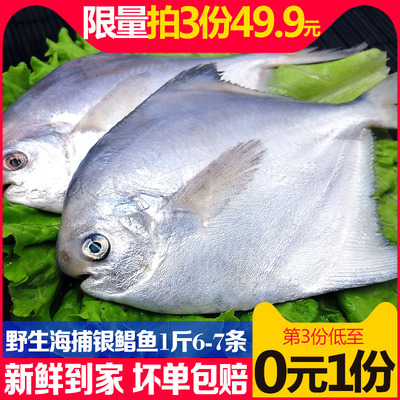 星渔海捕野生银鲳鱼舟山新鲜冷冻海鲜水产冰鲜深海银鲳鱼1斤6-7条