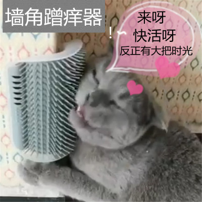 猫咪蹭痒器猫咪墙角抓痒蹭毛器宠物脱毛梳子按摩挠痒神器猫猫用品在类目 宠物/宠物食品及用品, 猫/狗玩具, 猫抓板中 - 来自Buy2taobao.com提供专业的淘宝代购服务