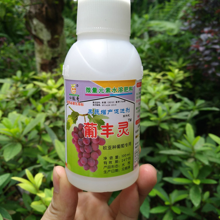 Little Wang Ge grape Leavening agent Expansin Pufeng Ling Red grapes Victoria Muscatin the Agricultural goods , Fertilizer , New fertilizer category - from Buy2taobao.com to provide professional Taobao agent buy service