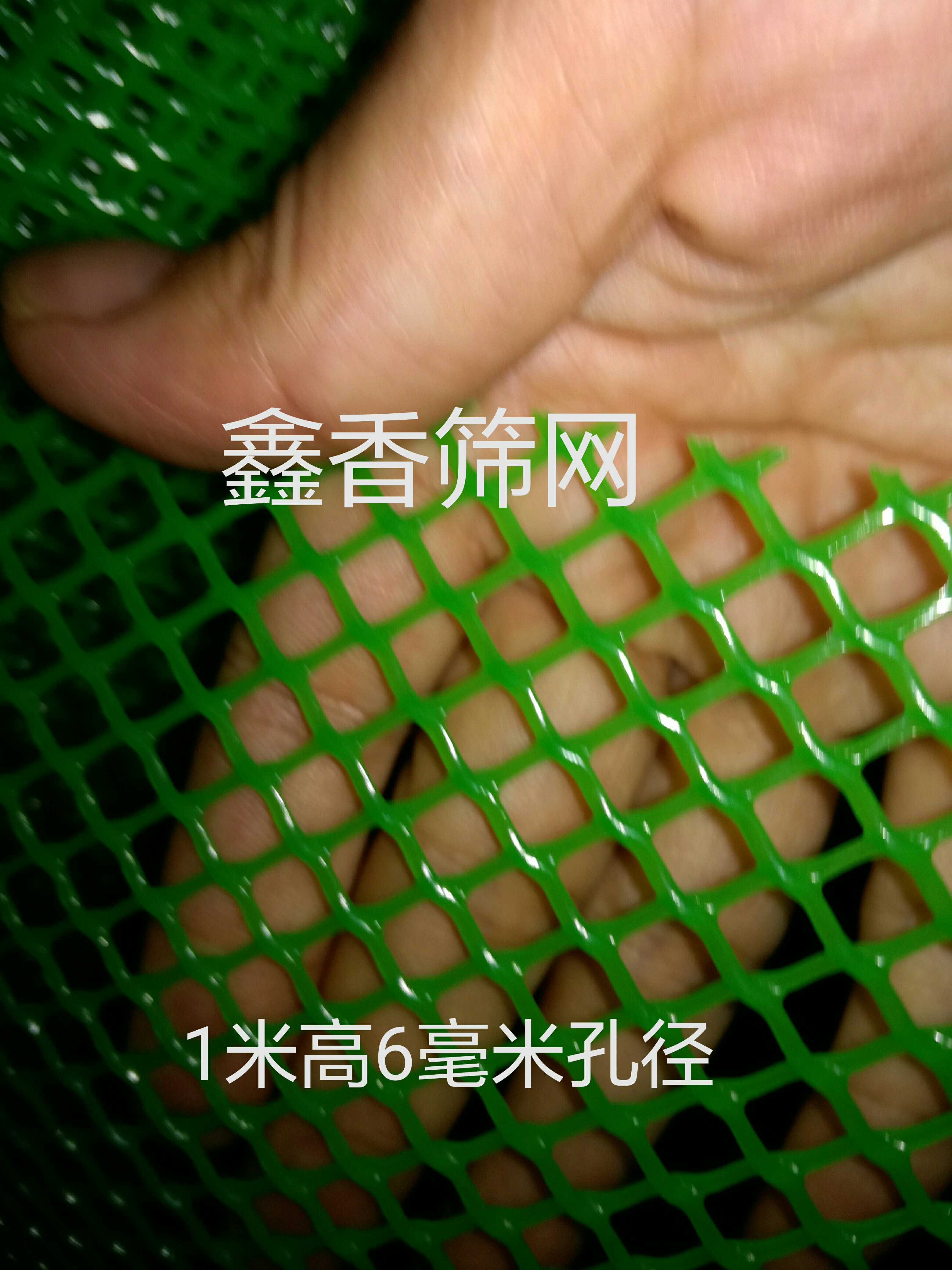純新料綠色加厚1米高6毫米孔徑塑料平網膠網/花盆墊底網結實耐磨在類目 基礎建材, 其它基礎建材, 安全網中 - 來自Buy2taobao.com提供專業的淘寶代購服務