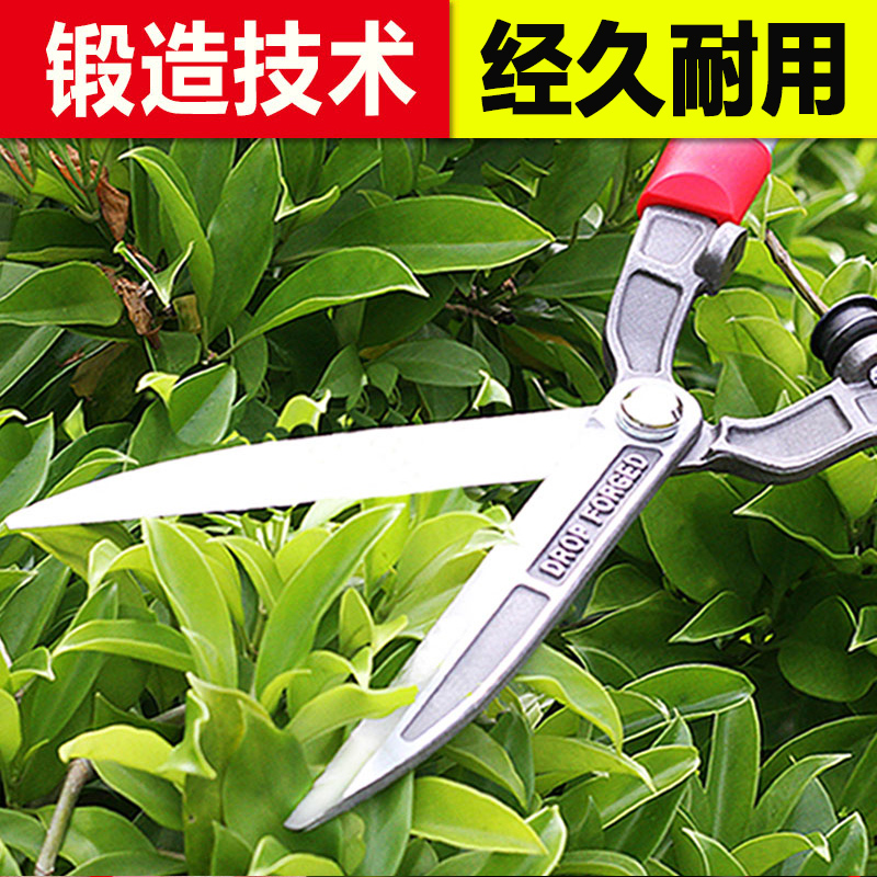 台湾进口锻造园艺剪修枝剪绿篱剪园林整篱剪家用篱笆花园丁大剪刀|msdalam kategori penghantaran bunga/bunga simulasi/tumbuhan berkebun, Gardening Supplies, berkebun/pisau/Shears/Saw (baru), gunting - dari Buy2taobao.com untuk memberikan perkhidmatan ejen Taobao profesional membeli