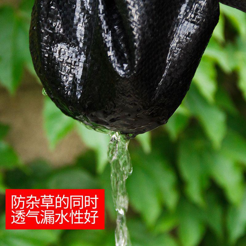 ground protect household Weed Insect construction site Arming Weed Bunun Botany Agriculturein the Flower delivery/Flowers simulation/Plants gardening , Gardening supplies , Other Garden Supplies category - from Buy2taobao.com to provide professional Taobao agent buy service