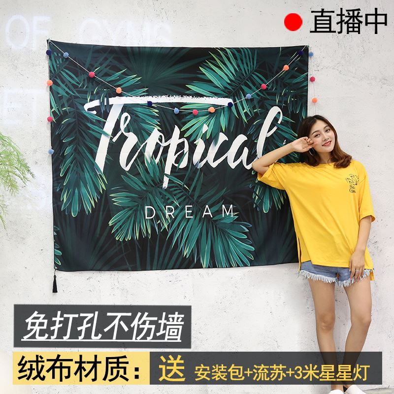 背景布ins挂布抖音大號北歐挂布網紅房間裝飾布置拍照挂毯牆布在類目 居家布藝, 掛毯/壁毯中 - 來自Buy2taobao.com提供專業的淘寶代購服務