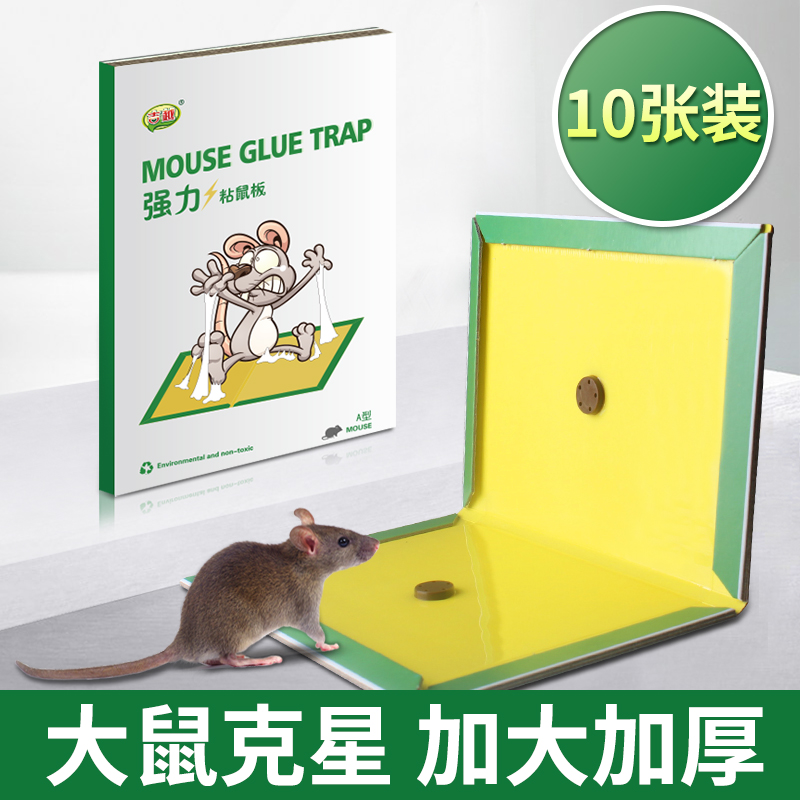 10 Rat glue Strength household Sticky mouse board Rat Artifact yao enlarge thickening quality goodsin the Care cleaners/Sanitary napkins/Paper/Aromatherapy , Deworming supplies , Rodent/Insecticide category - from Buy2taobao.com to provide professional Taobao agent buy service