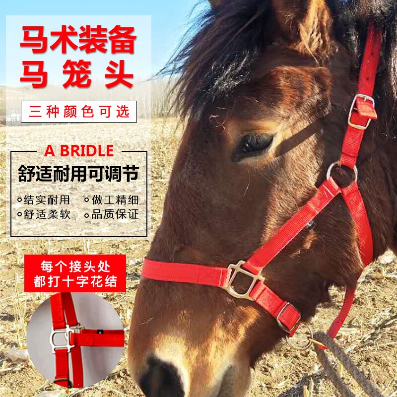 馬具馬籠頭馬術用品PVC馬龍頭牽馬籠頭籠套馬籠套龍頭套馬龍頭在類目 運動/瑜伽/健身/球迷用品, 馬術運動, 馬匹裝備, 牽馬/調教龍頭中 - 來自Buy2taobao.com提供專業的淘寶代購服務