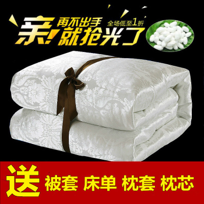 买被子送被套四件套被芯枕芯床上夏被加厚10斤冬被单双人春秋棉被