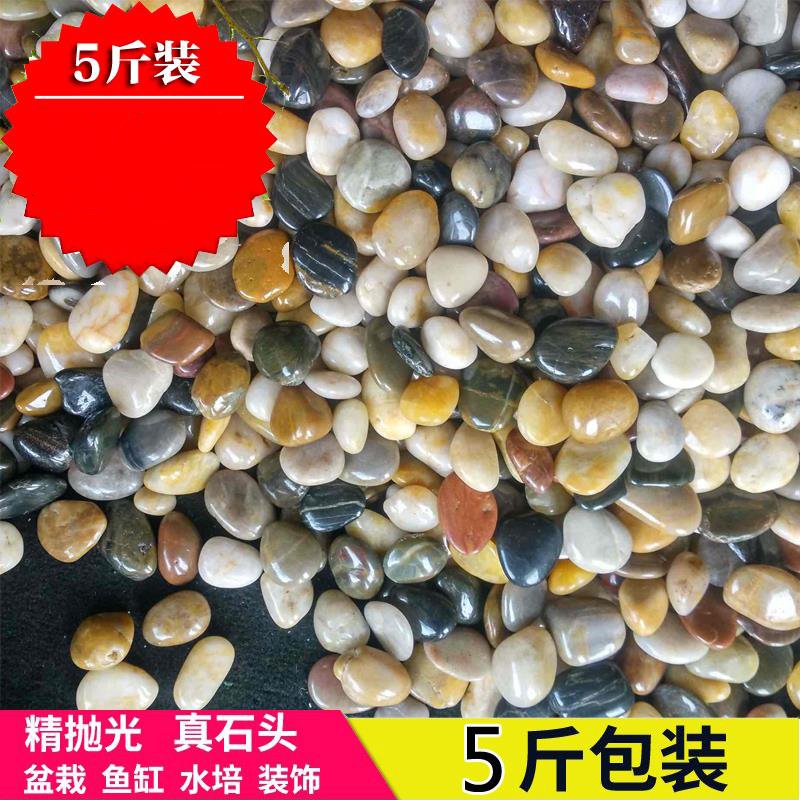 白色大小高深抛光純天然鵝卵石頭雨花石鵝軟石鵝暖石小號魚缸配飾在類目 鮮花速遞/花卉仿真/綠植園藝, 園藝用品, 其它園藝用品中 - 來自Buy2taobao.com提供專業的淘寶代購服務