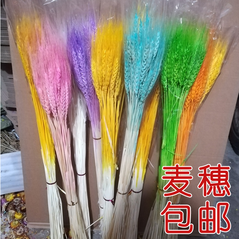 包郵小麥穗幹花花束大麥永生花插花古廚窗裝飾家居攝影擺件50支裝在類目 家居飾品, 花瓶/花器/仿真花/仿真飾品, 乾花/花瓣/乾花包/幹樹枝中 - 來自Buy2taobao.com提供專業的淘寶代購服務