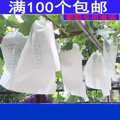 袋防虫袋葡萄套袋泡种袋尼龙网眼袋纱网袋果蔬套葡萄专用的纸袋子在类目 鲜花速递/花卉仿真/绿植园艺, 园艺用品, 其它园艺用品中 - 来自Buy2taobao.com提供专业的淘宝代购服务