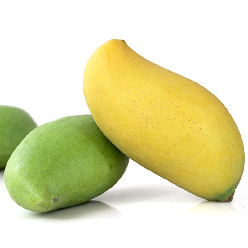 Yunnan Olecranon Tropical fresh fruit Green Mango 10 wholesale Redin the Aquatic meat/Fresh fruits and vegetables/Cooked , Fresh fruit , Mango category - from Buy2taobao.com to provide professional Taobao agent buy service