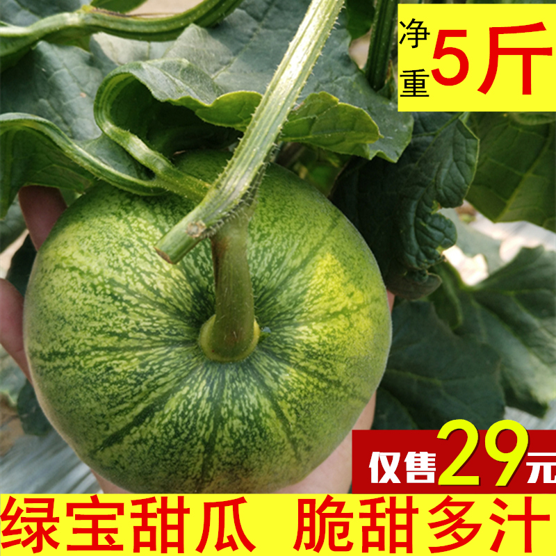 现货绿宝甜瓜净重5斤当季时令孕妇新鲜水果整箱批发香瓜包邮2件10|ruв категории водной мясо/свежие фрукты и овощи/еда, свежие фрукты, дыня - от Buy2taobao.com для оказания профессиональной услуги покупки агента Taobao