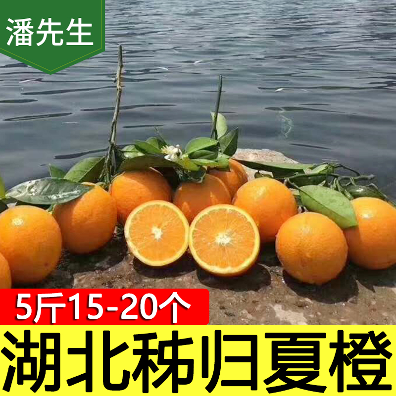 湖北秭归夏橙五斤包邮酸甜多汁新鲜可口薄皮孕妇小孩专享2019新品在类目 水产肉类/新鲜蔬果/熟食, 新鲜水果, 橙中 - 来自Buy2taobao.com提供专业的淘宝代购服务