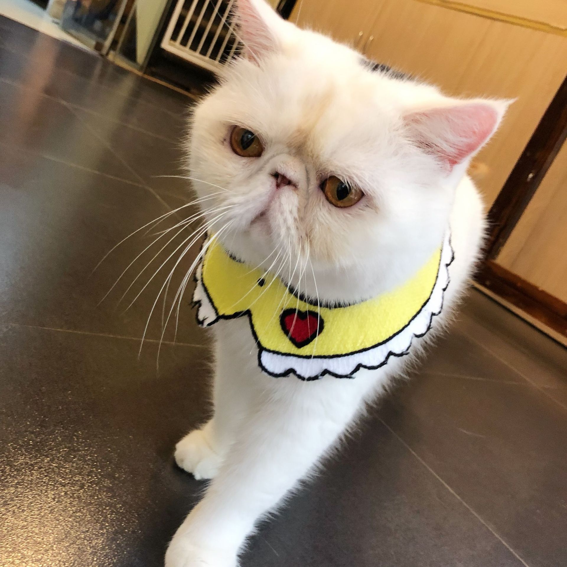 Kitty Saliva towel Dogs Bibs manual weave Small dogs scarf Pets modelling Accessories INS Korea cutein the Pet/Pet food and supplies , Pet apparel and accessories , Other Accessories category - from Buy2taobao.com to provide professional Taobao agent buy service