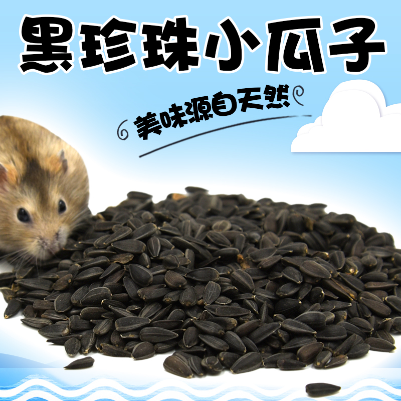 仓鼠磨牙零食仓鼠食物仓鼠用品兔子磨牙棒荷兰猪小黑黑葵瓜子100g|ruв категории животное/Животное питание и принадлежностей, хомяк класса и других малых животное, корма/закуски - от Buy2taobao.com для оказания профессиональной услуги покупки агента Taobao