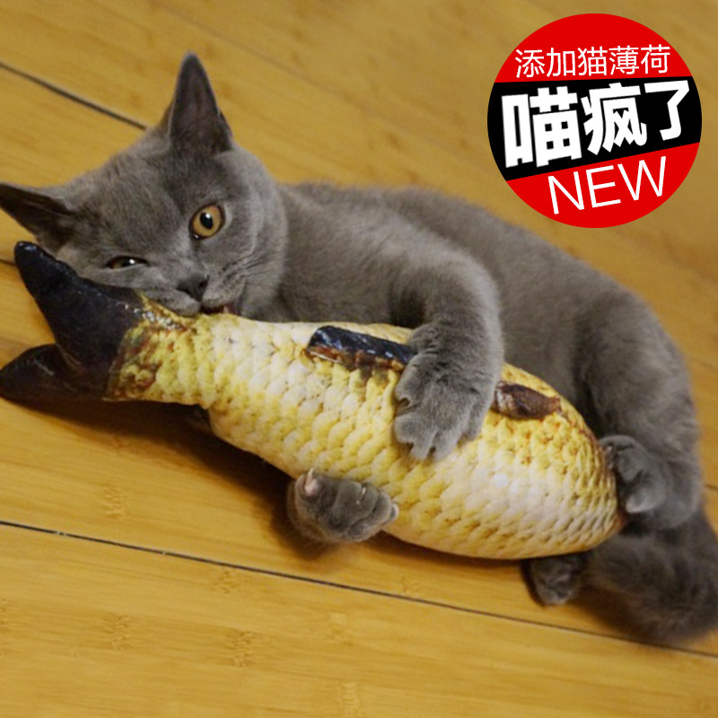 猫玩具猫薄荷逗猫玩具鱼猫抱枕草鱼宠物仿真毛绒猫咪鱼玩具包邮在类目 宠物/宠物食品及用品, 猫/狗玩具, 逗猫棒中 - 来自Buy2taobao.com提供专业的淘宝代购服务