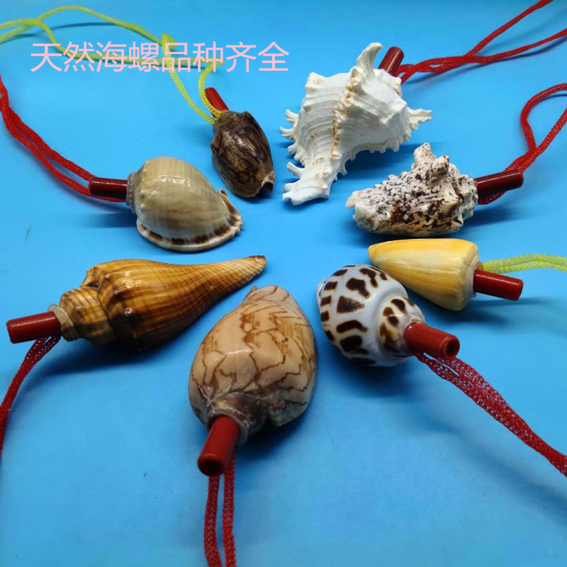 口哨贝壳工艺品儿童玩具号小礼物摆件货源热卖天然贝壳海螺哨子在类目 家居饰品, 创意饰品, 海螺/贝壳/珊瑚中 - 来自Buy2taobao.com提供专业的淘宝代购服务